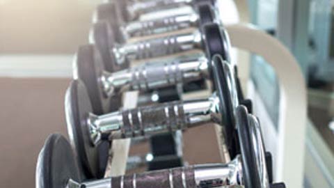 A rack of dumbbells at a fitness center